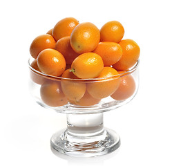 Image showing Kumquats