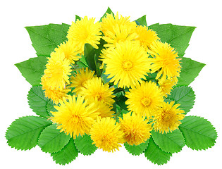 Image showing Bouquet of yellow flowers