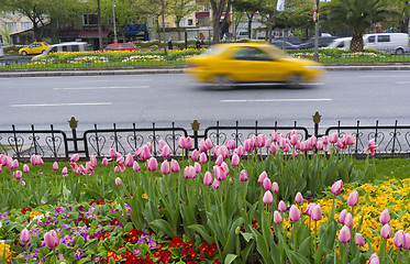 Image showing Spring in Istanbul