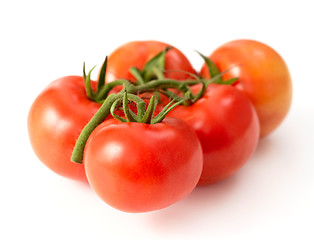 Image showing fresh red tomatoes