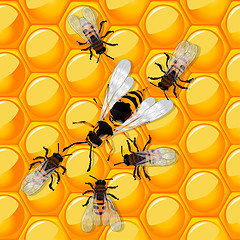Image showing Bees and wasp