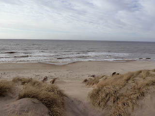 Image showing sandy coastline in north denmark