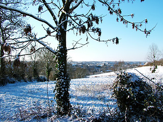 Image showing Winter Snow