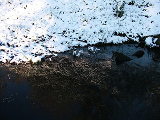 Image showing Winter Snow