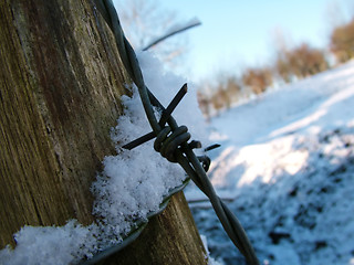 Image showing Winter Snow