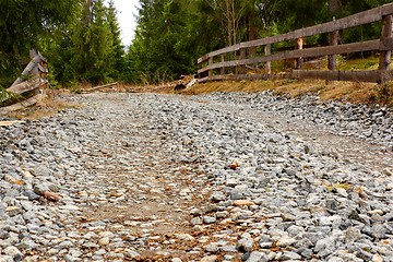 Image showing road towards the forest