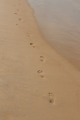 Image showing footprints in the sand on the beach