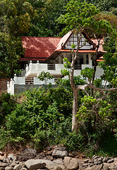 Image showing a lone house in the tropical jungles