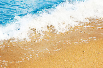 Image showing Ocean Shore