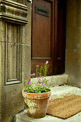 Image showing pink flowers in front of a door outdoor