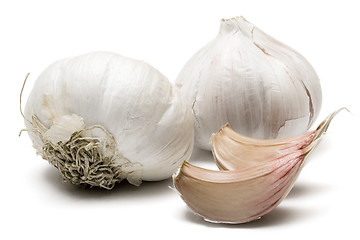 Image showing Garlic