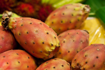 Image showing fresh prickly pear closeup 