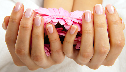 Image showing feminin hands with a treatment doing a manicure closeup