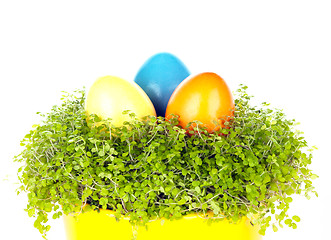 Image showing Three different coloured eastrn eggs in a yellow cup