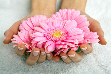 Image showing feminin hands with a treatment doing a manicure closeup