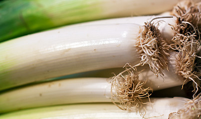 Image showing fresh green leek closeup on the market