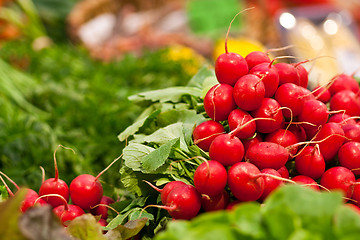 Image showing fresh radish on the market