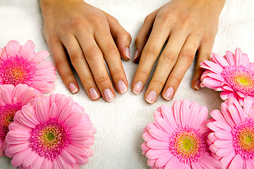 Image showing feminin hands with a treatment doing a manicure closeup