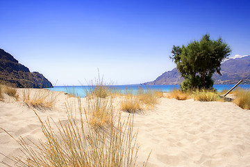 Image showing Lonesome Sandy Beach