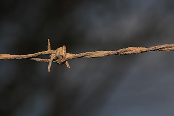 Image showing barbwire