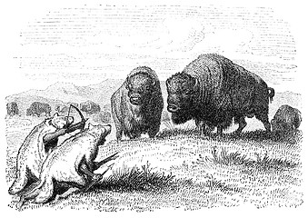 Image showing Buffalo Hunt