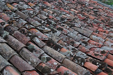 Image showing Old roof tiles covered with lichen and moss