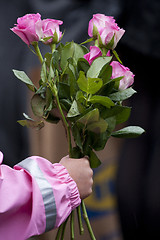 Image showing Pink roses