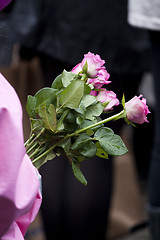 Image showing Pink roses