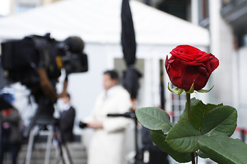 Image showing Red rose