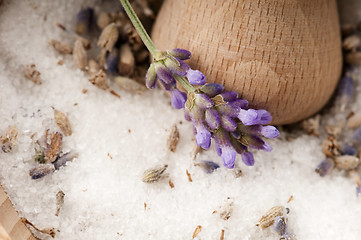 Image showing Lavender Sugar
