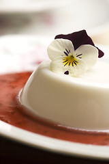 Image showing Vanilla panna cotta with berry sauce and spring flower