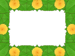 Image showing Floral frame with yellow flowers and green leaf