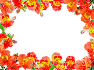 Image showing Floral frame with orange flowers and green leaf