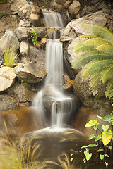 Image showing Japanese Zen Garden Stream