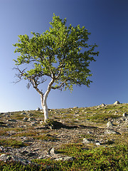 Image showing Mountain Landscape