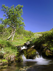 Image showing Mountain Stream