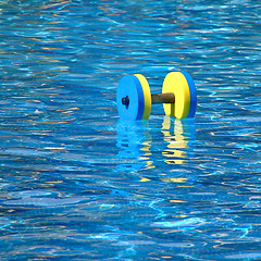 Image showing Floating aqua aerobics dumbbell 