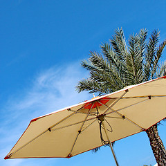 Image showing Beach Umbrella and palm 