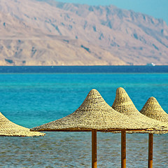 Image showing  Umbrellas and Red Sea on mountain background