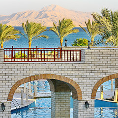 Image showing Palm trees, Red Sea