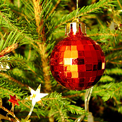 Image showing Red sphere on a Christmas tree