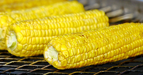 Image showing Grilled Corn