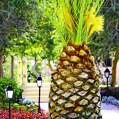 Image showing Palm Tree like big pineapple 