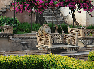 Image showing Bundi Palace