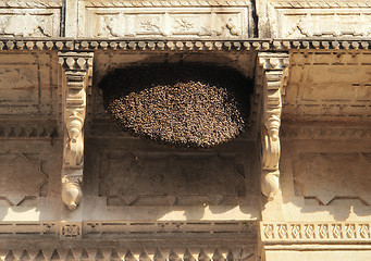 Image showing bees hive at Bundi Palace