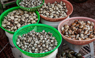 Image showing mussels and cockles for sale