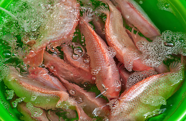 Image showing fresh fish for sale