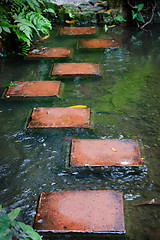 Image showing stepping stones across stream