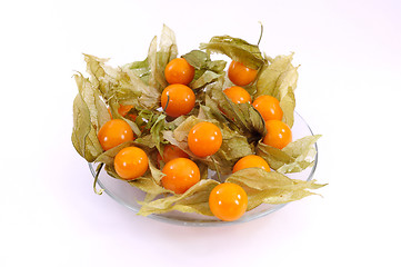 Image showing Physalis