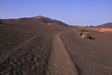 Image showing Walking through volcanic park